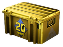 Кейс CS20